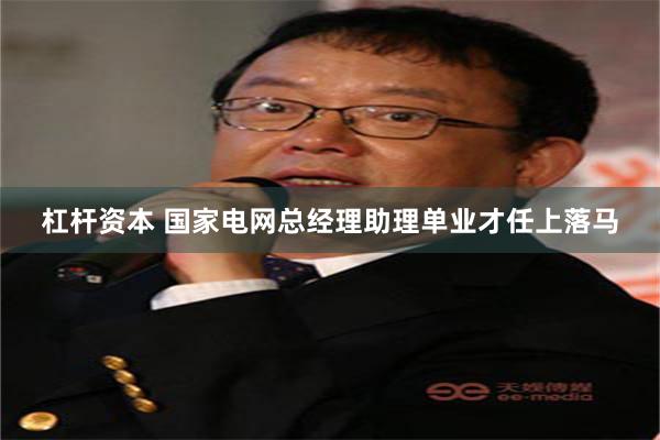 杠杆资本 国家电网总经理助理单业才任上落马