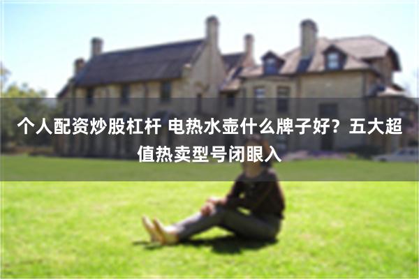 个人配资炒股杠杆 电热水壶什么牌子好？五大超值热卖型号闭眼入