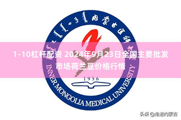 1-10杠杆配资 2024年9月23日全国主要批发市场荷兰豆价格行情