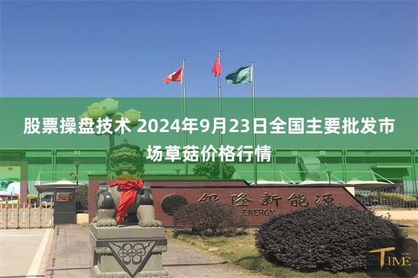 股票操盘技术 2024年9月23日全国主要批发市场草菇价格行情