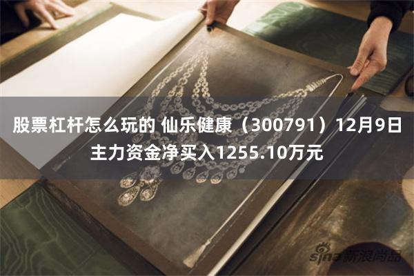 股票杠杆怎么玩的 仙乐健康（300791）12月9日主力资金净买入1255.10万元