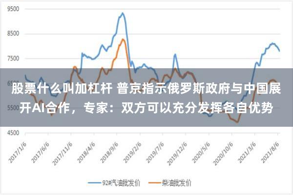 股票什么叫加杠杆 普京指示俄罗斯政府与中国展开AI合作，专家：双方可以充分发挥各自优势