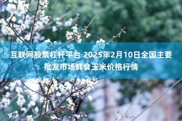 互联网股票杠杆平台 2025年2月10日全国主要批发市场鲜食玉米价格行情