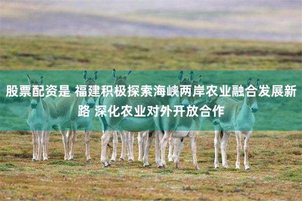 股票配资是 福建积极探索海峡两岸农业融合发展新路 深化农业对外开放合作